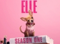 La série préquelle Legally Blonde arrivera sur Prime Video en juillet