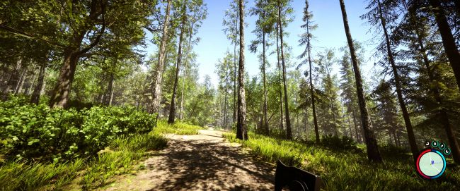 Une commune québécoise reconnaît les arbres comme des êtres vivants