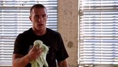 UFC Personal Trainer - Reveal Trailer