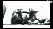 Monster Hunter Tri - Launch Trailer